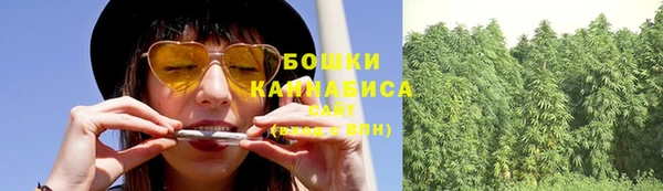 круглые Иннополис