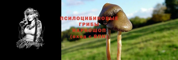 ECSTASY Каменногорск