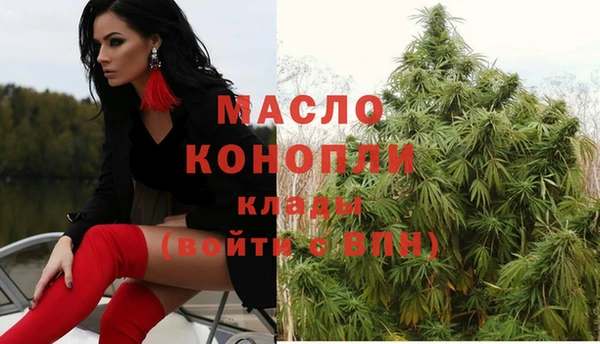 твердый Каменка