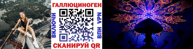 Псилоцибиновые грибы Psilocybe  где можно купить   Арзамас 