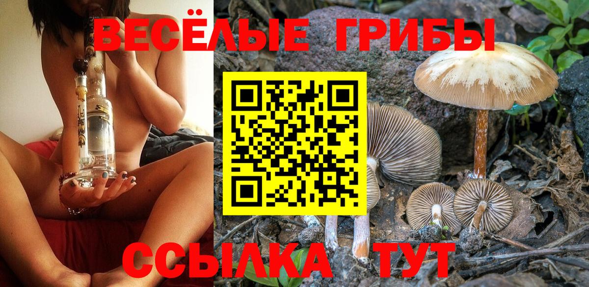 Арзамас  как найти закладки  Псилоцибиновые грибы MAGIC MUSHROOMS  Вход с VPN  Галлюциногенные грибы ЛСД 